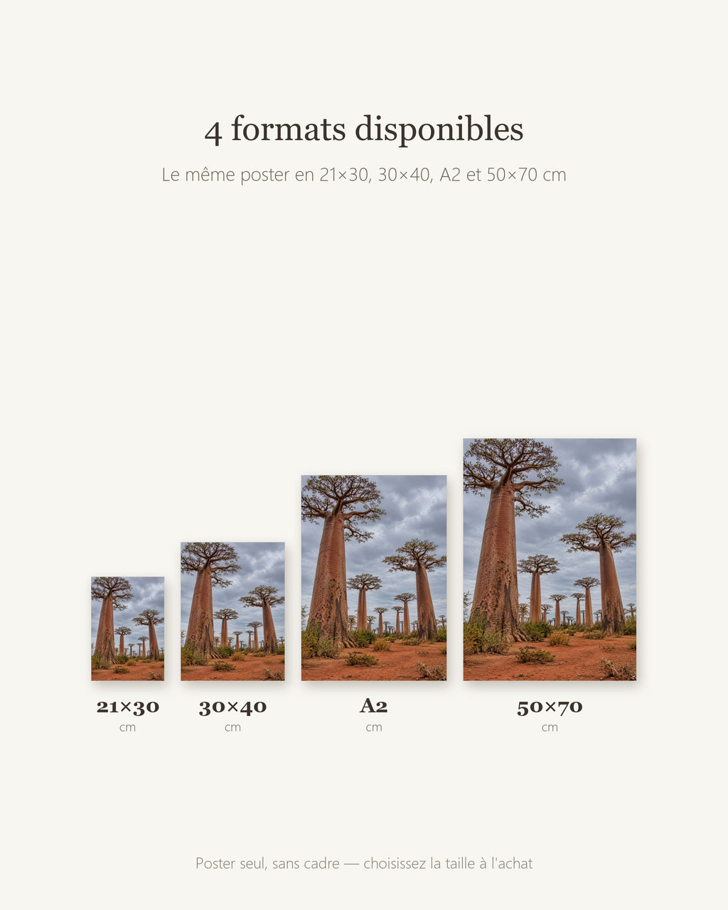 Poster Allée des baobabs Madagascar Sans Cadre - Affiche Nature - Papier Mat - Décoration Murale