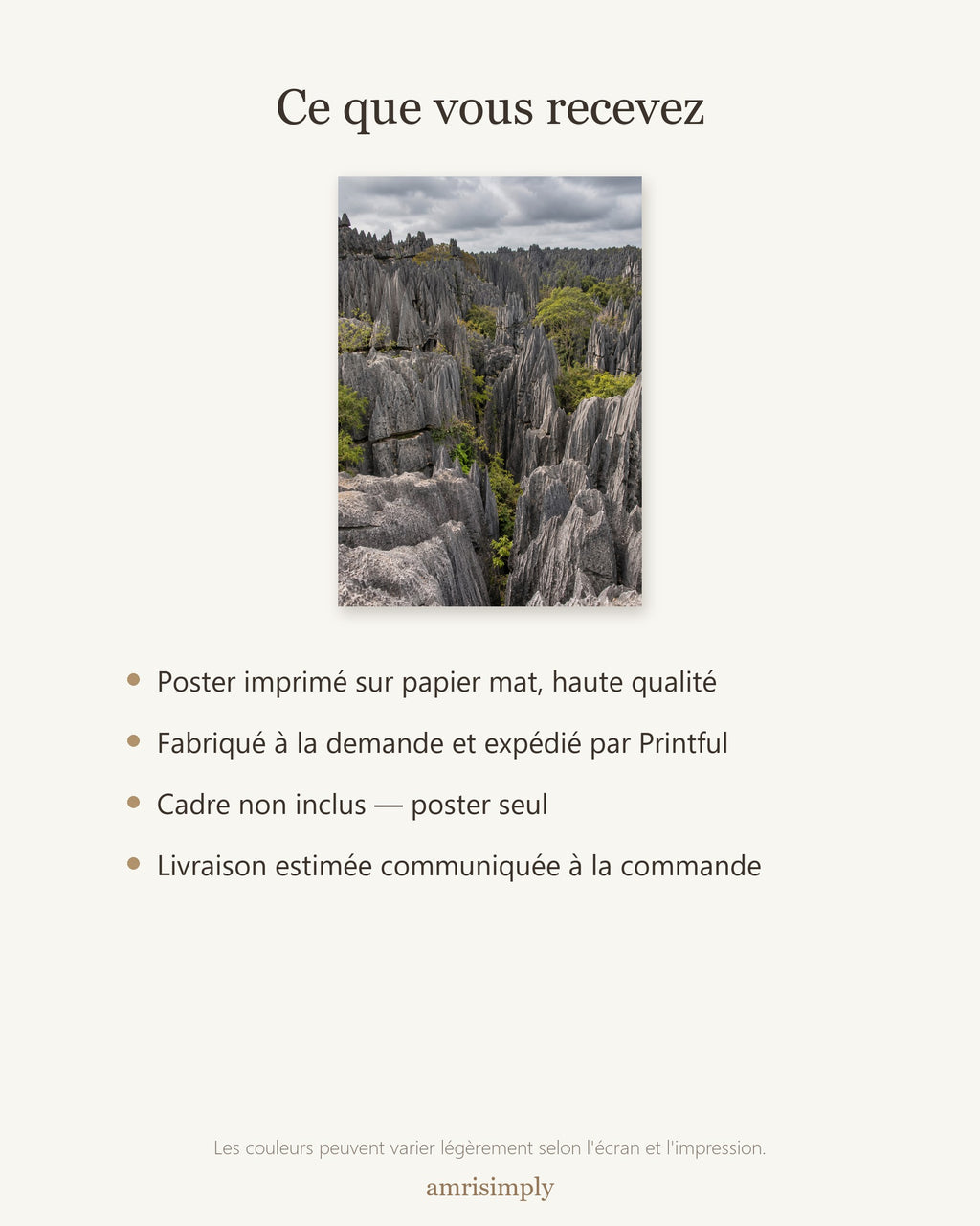 Poster Tsingy Madagascar Sans Cadre - Affiche Nature - Papier Mat - Décoration Murale