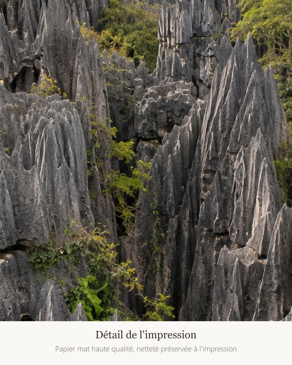 Poster Tsingy Madagascar Sans Cadre - Affiche Nature - Papier Mat - Décoration Murale