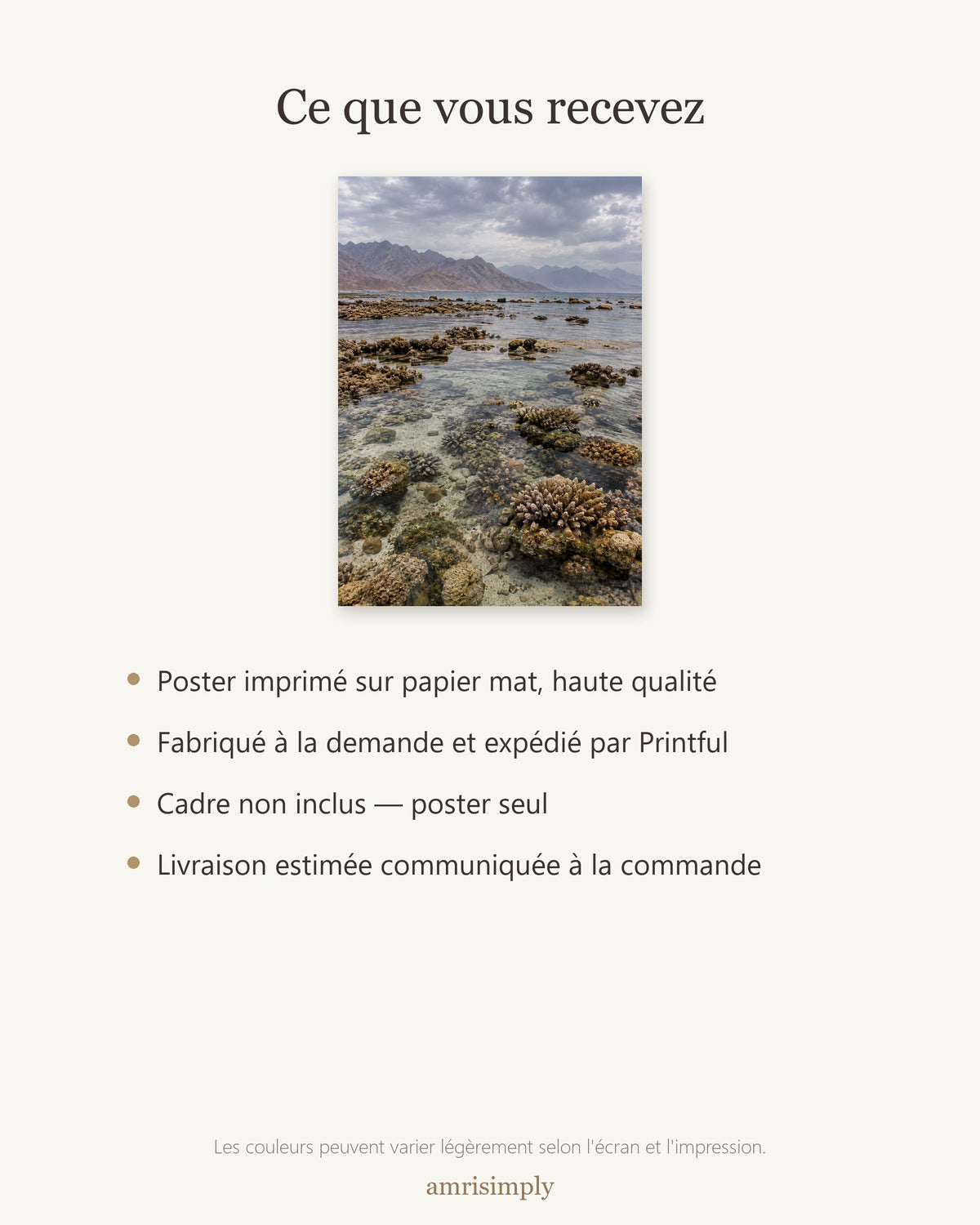 Poster Récif de la mer Rouge Sans Cadre - Affiche Nature - Papier Mat - Décoration Murale