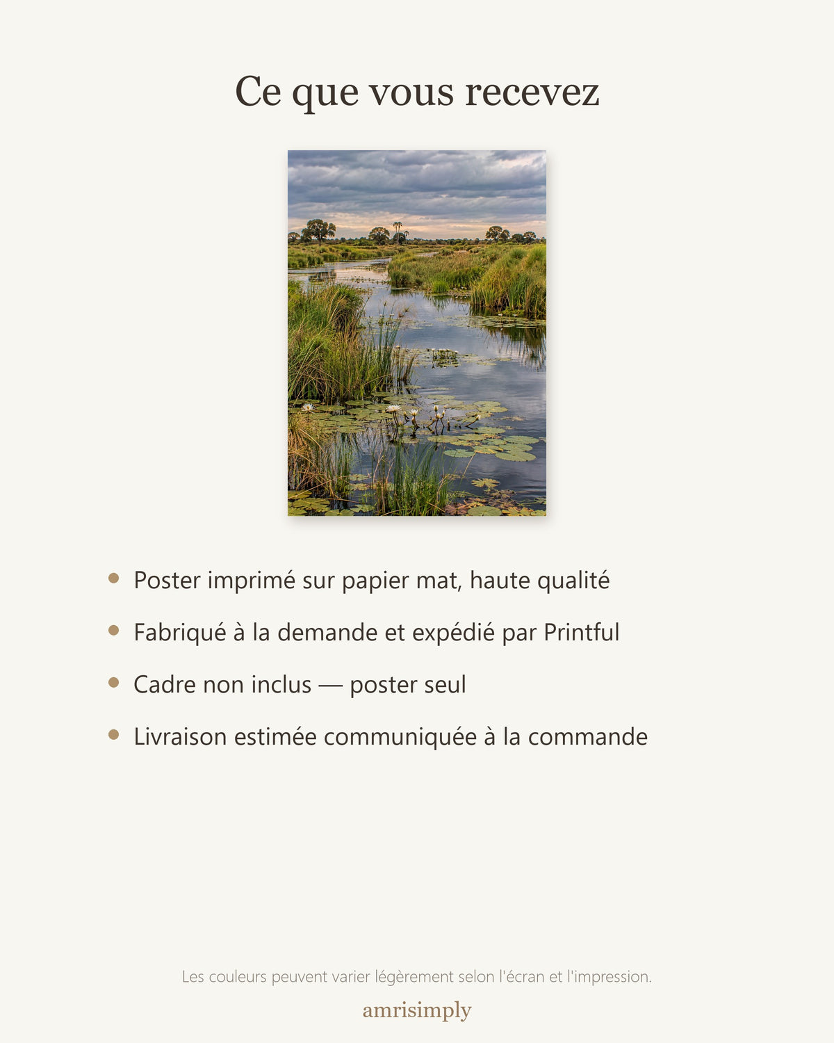 Poster Delta de l'Okavango Sans Cadre - Affiche Nature - Papier Mat - Décoration Murale