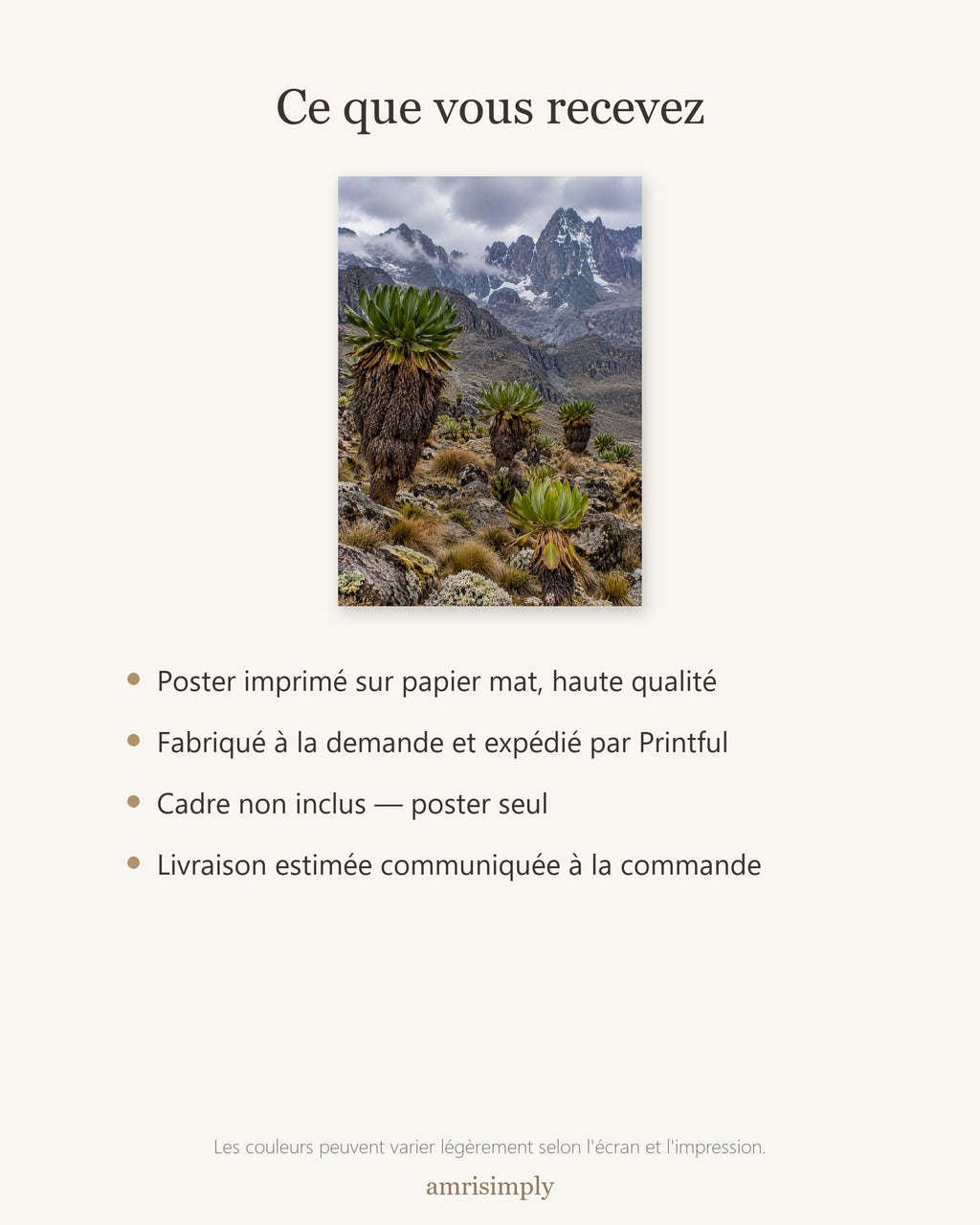 Poster Mont Kenya Sans Cadre - Affiche Nature - Papier Mat - Décoration Murale