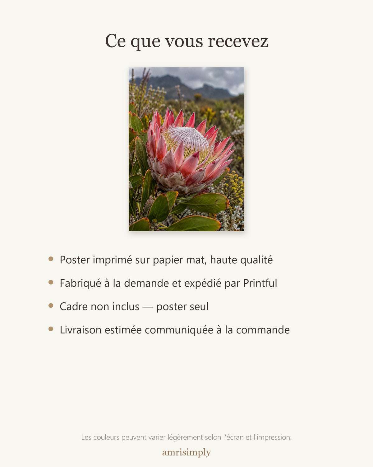 Poster Protée du fynbos Sans Cadre - Affiche Nature - Papier Mat - Décoration Murale