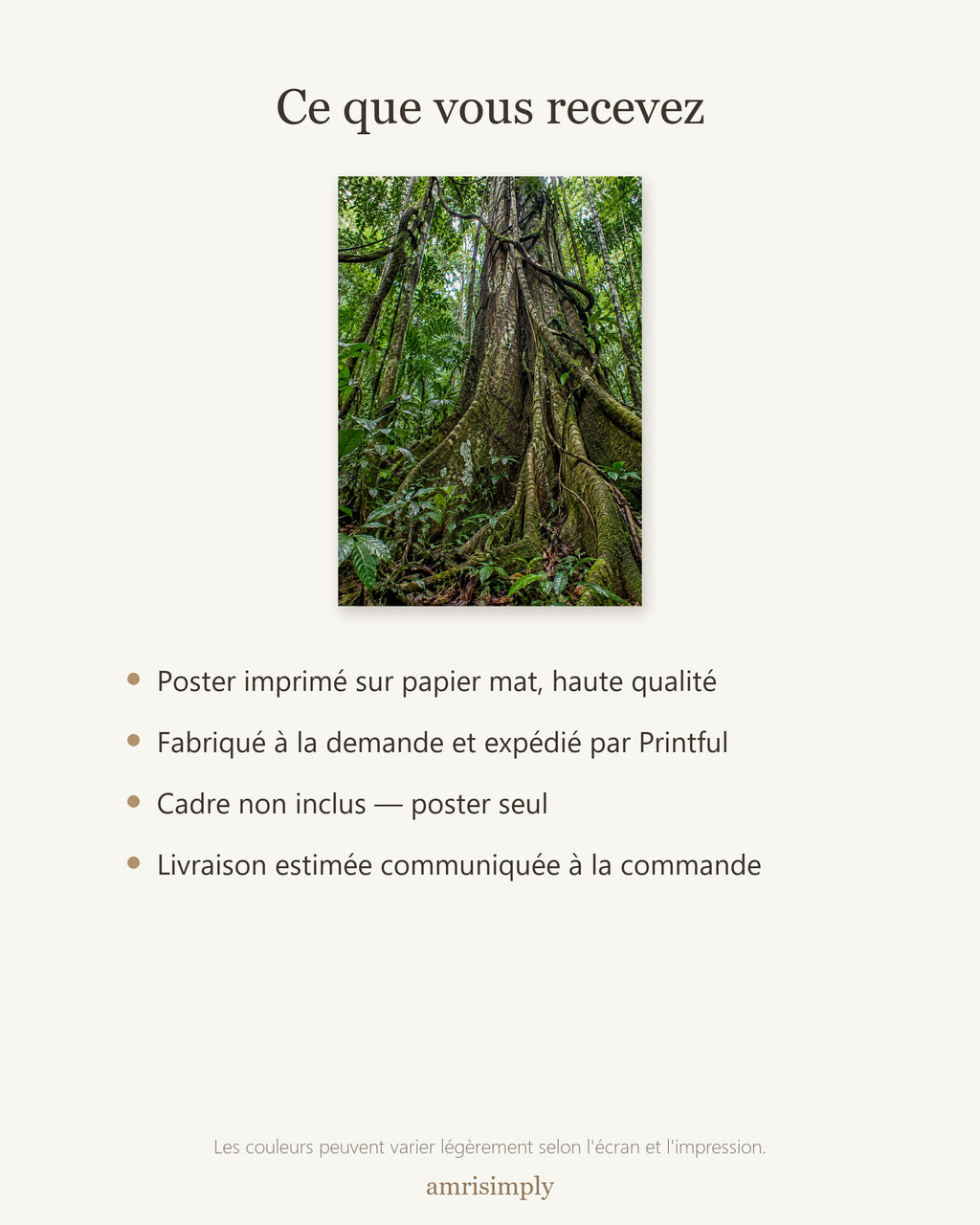 Poster Forêt équatoriale Sans Cadre - Affiche Nature - Papier Mat - Décoration Murale