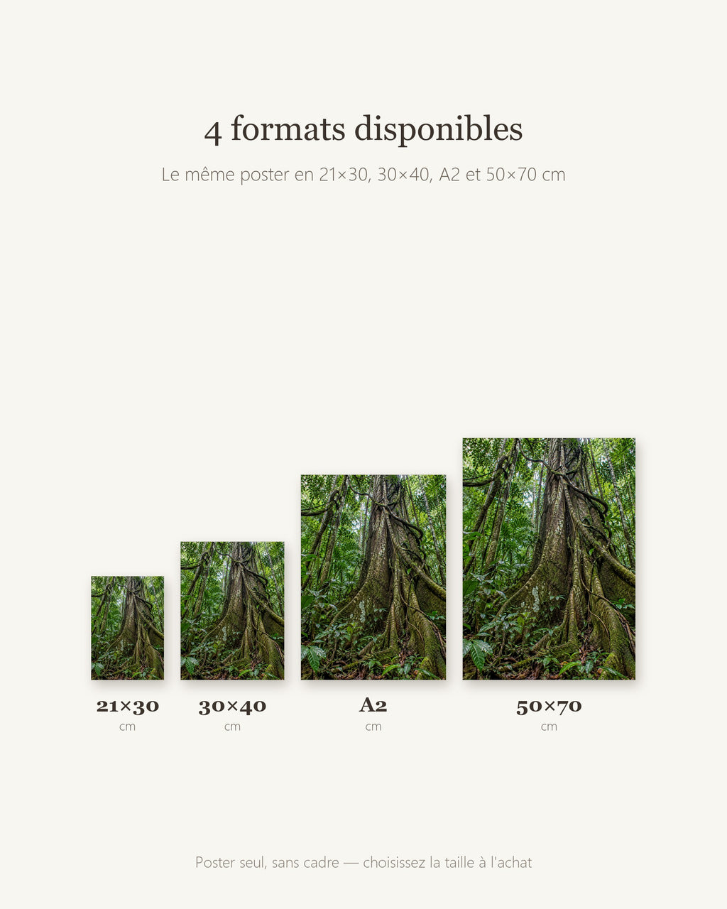 Poster Forêt équatoriale Sans Cadre - Affiche Nature - Papier Mat - Décoration Murale