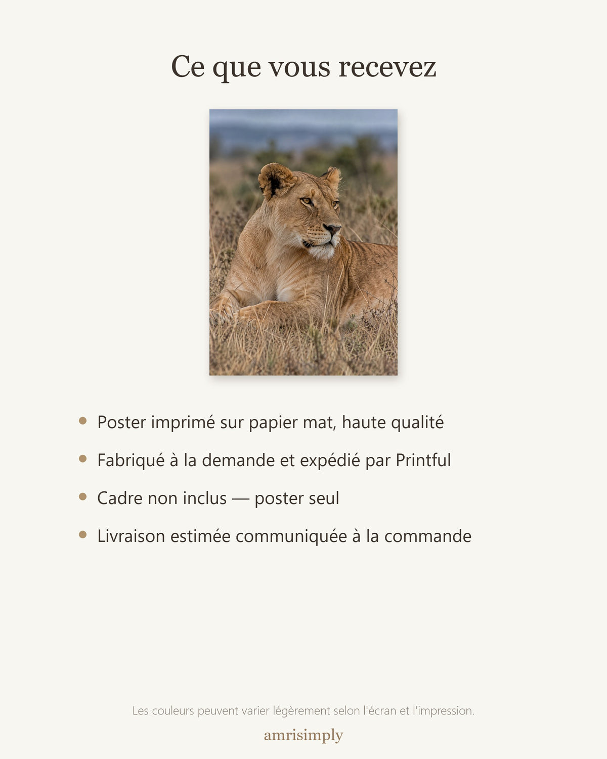Poster Lionne couchée Sans Cadre - Affiche Animaux Sauvages - Papier Mat - Décoration Murale