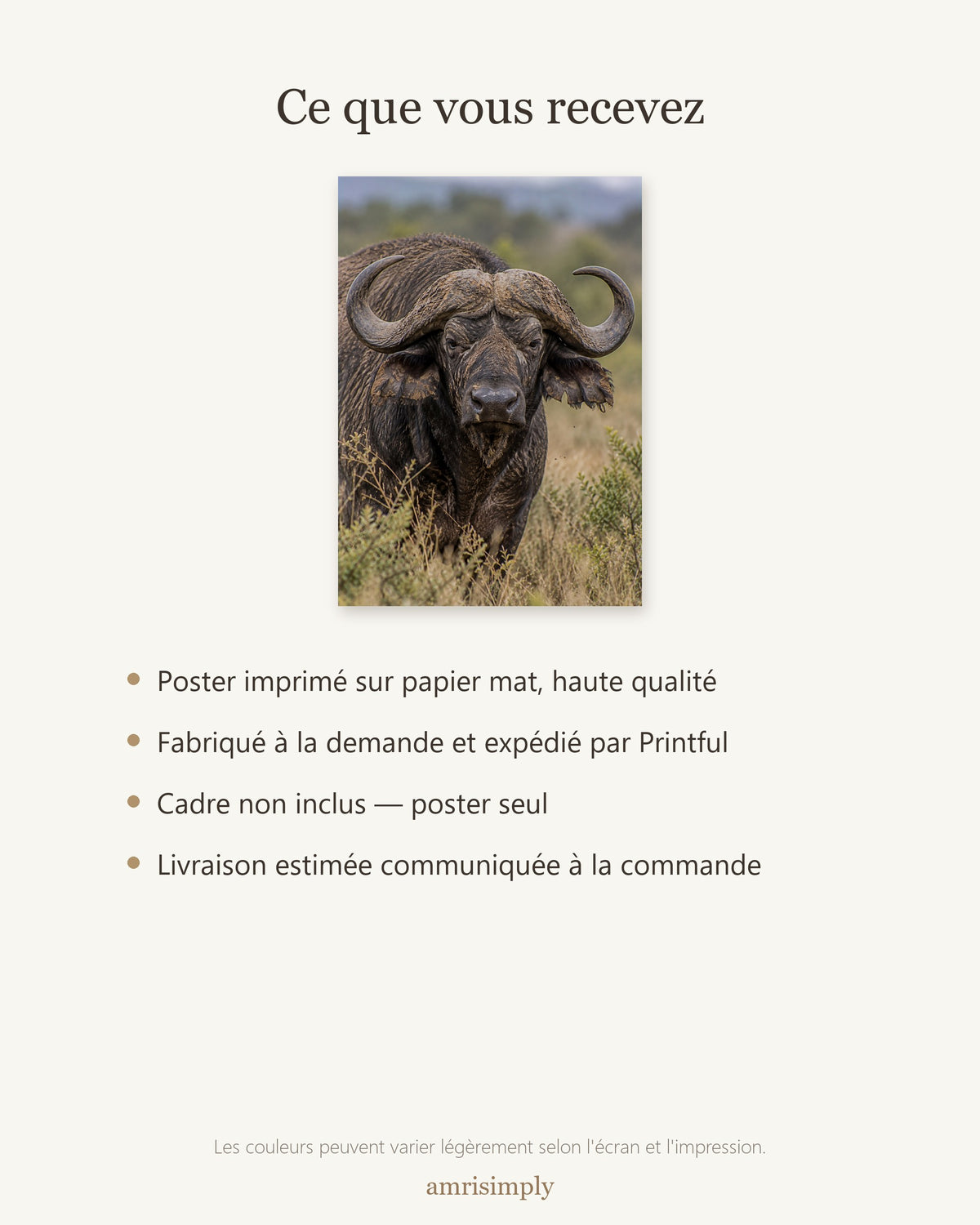 Poster Buffle du Cap Sans Cadre - Affiche Animaux Sauvages - Papier Mat - Décoration Murale