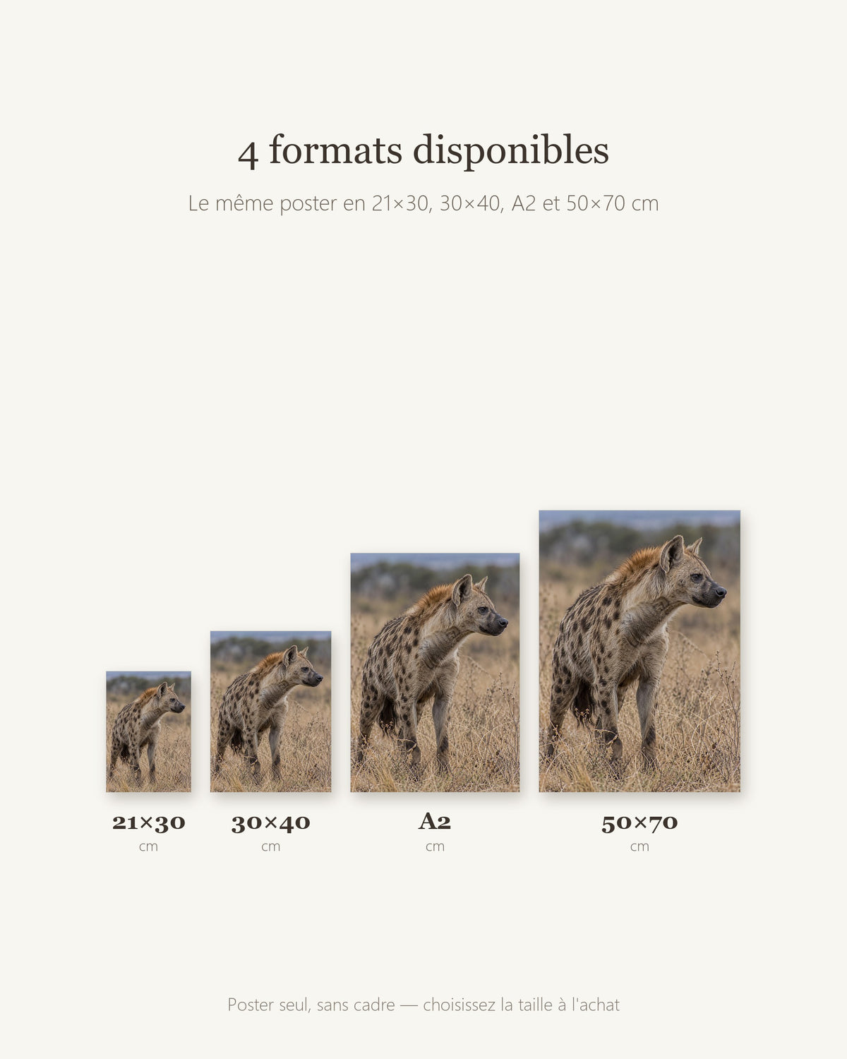 Poster Hyène tachetée Sans Cadre - Affiche Animaux Sauvages - Papier Mat - Décoration Murale
