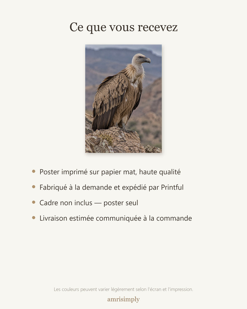 Poster Vautour sur rocher Sans Cadre - Affiche Animaux Sauvages - Papier Mat - Décoration Murale