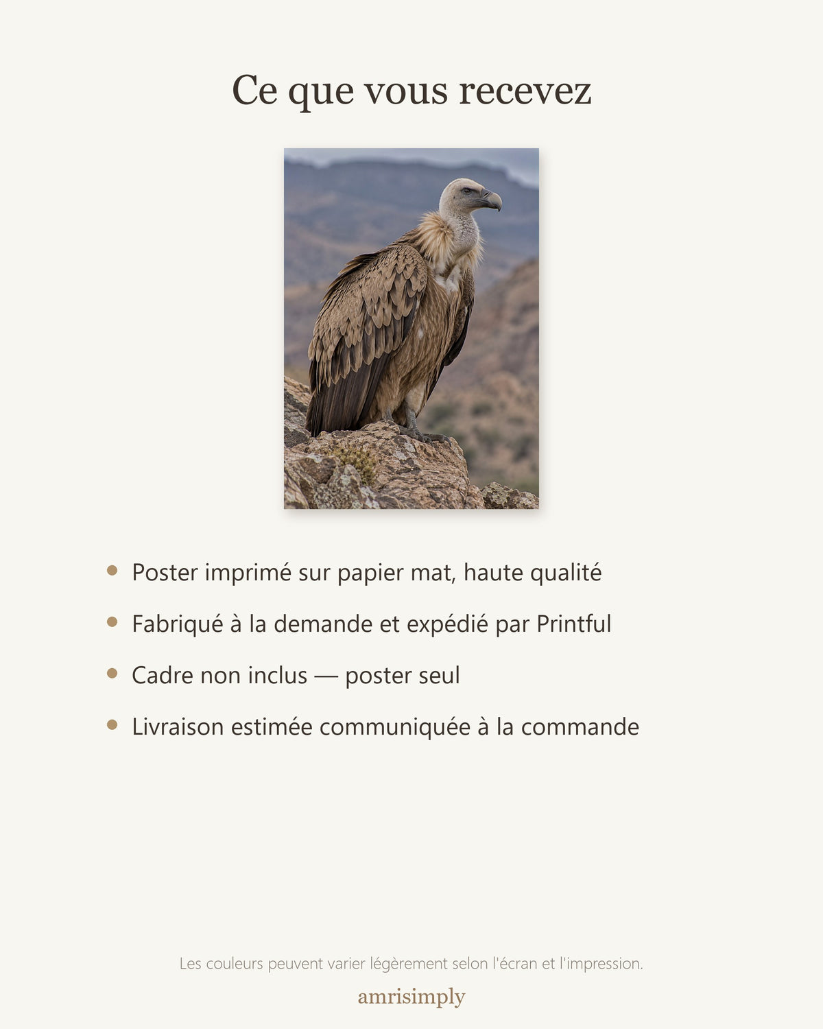 Poster Vautour sur rocher Sans Cadre - Affiche Animaux Sauvages - Papier Mat - Décoration Murale
