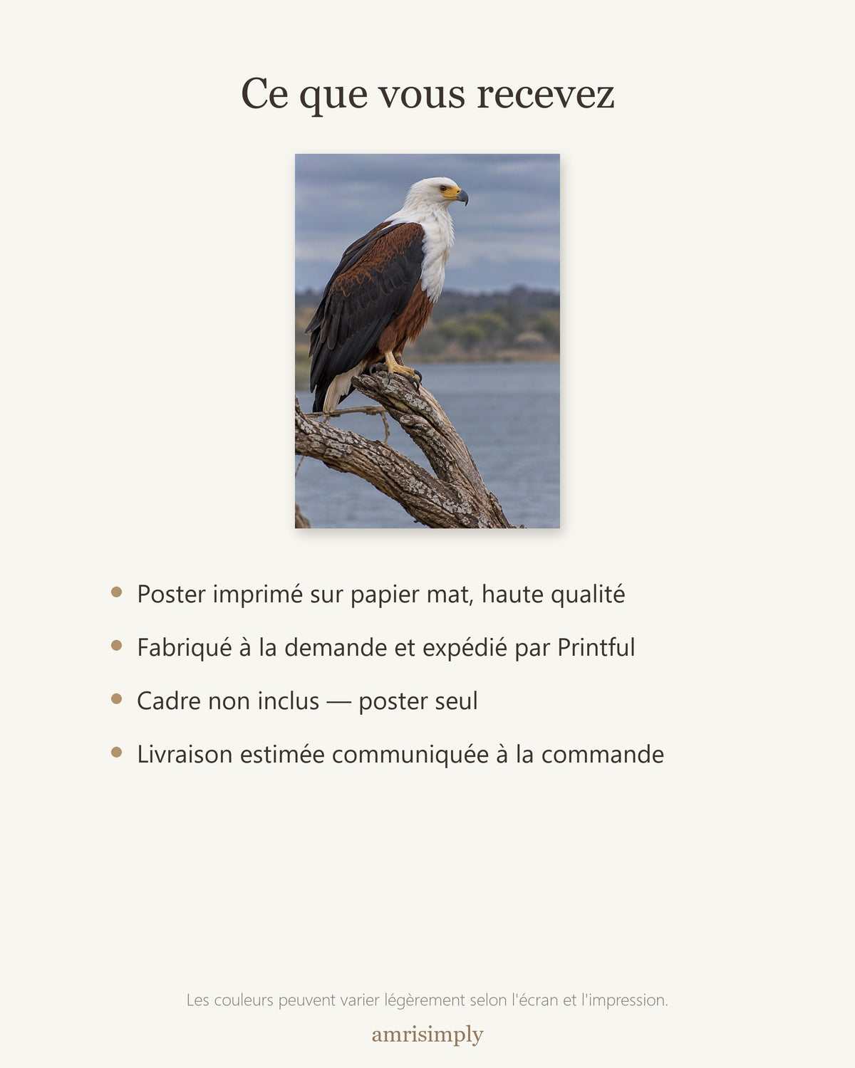Poster Aigle pêcheur d'Afrique Sans Cadre - Affiche Animaux Sauvages - Papier Mat - Décoration Murale