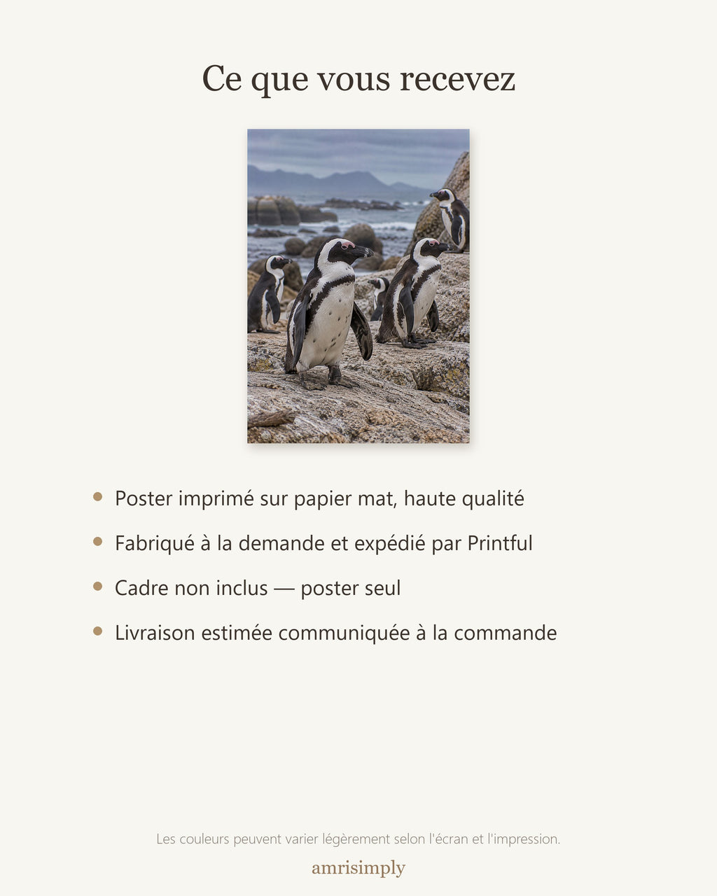 Poster Manchots du Cap Sans Cadre - Affiche Animaux Sauvages - Papier Mat - Décoration Murale