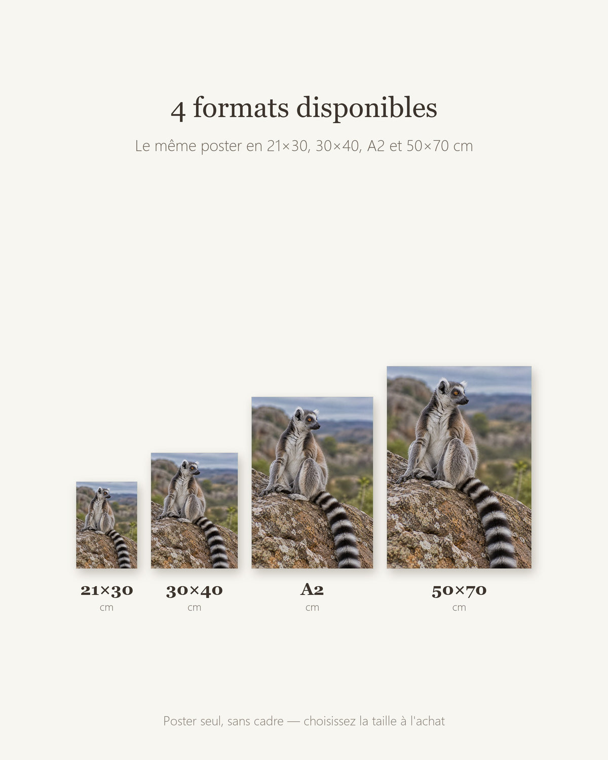 Poster Lémurien catta Sans Cadre - Affiche Animaux Sauvages - Papier Mat - Décoration Murale