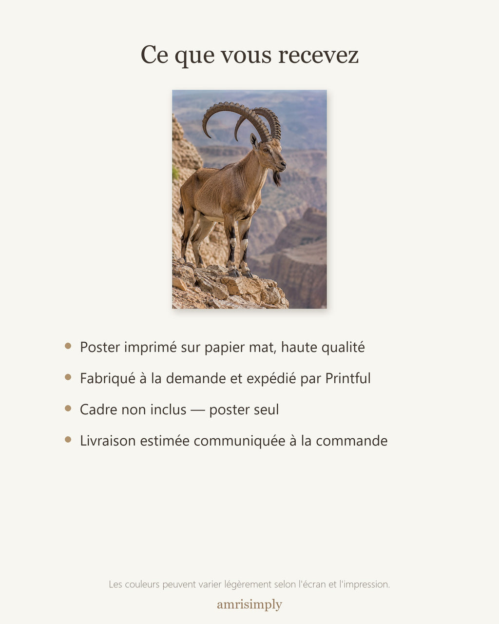 Poster Bouquetin de Nubie Sans Cadre - Affiche Animaux Sauvages - Papier Mat - Décoration Murale