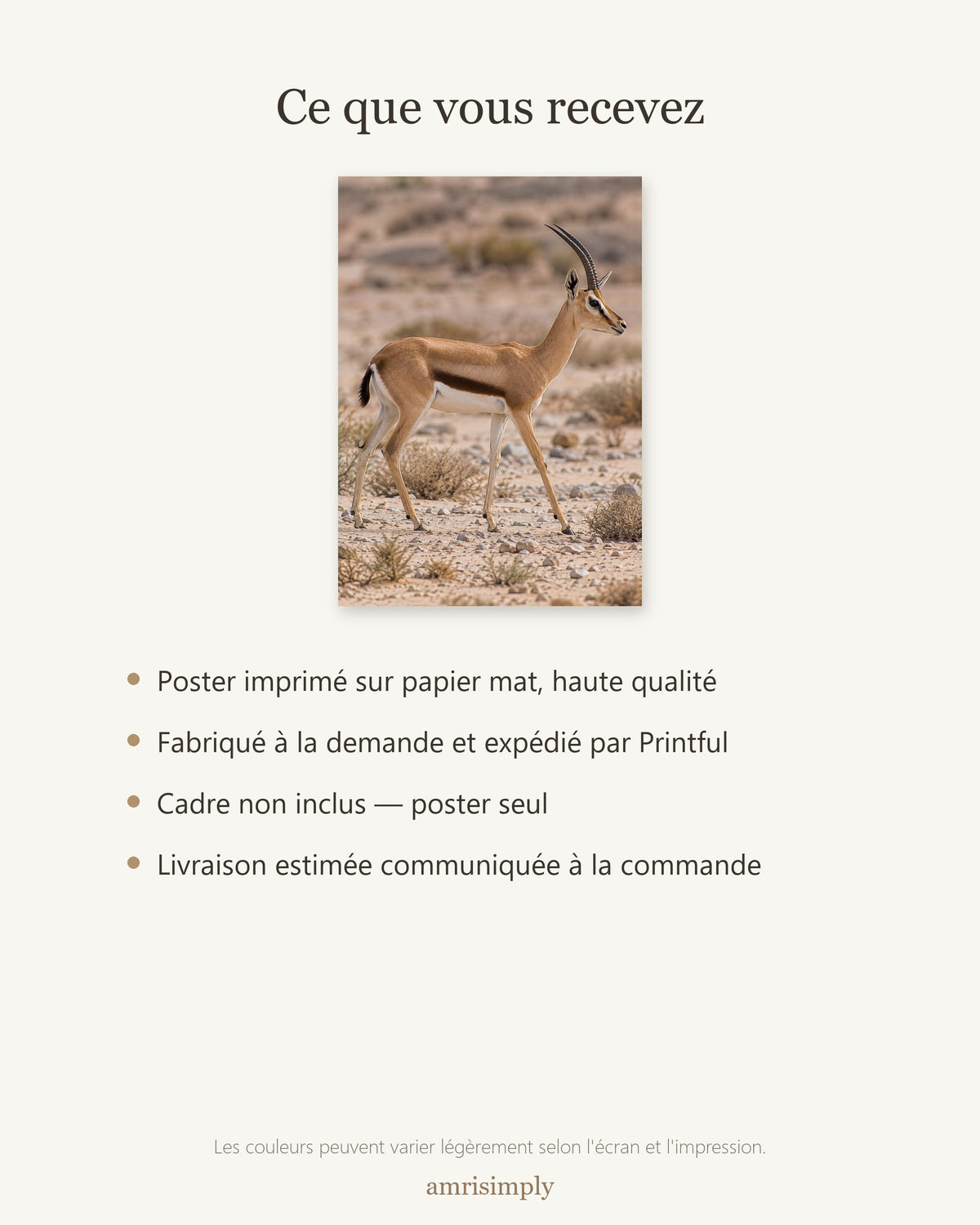 Poster Gazelle dorcas Sans Cadre - Affiche Animaux Sauvages - Papier Mat - Décoration Murale