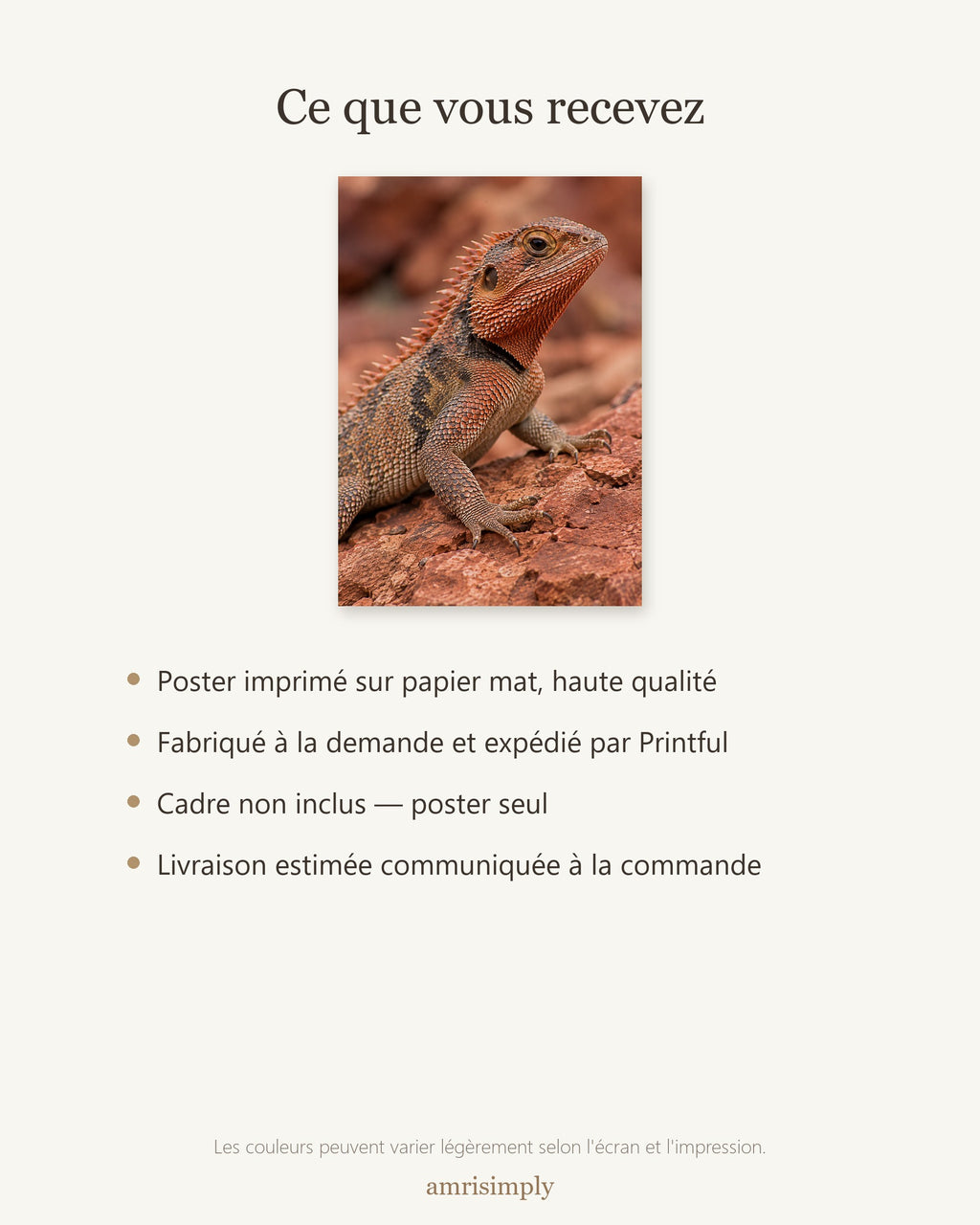 Poster Agame sur roche rouge Sans Cadre - Affiche Animaux Sauvages - Papier Mat - Décoration Murale