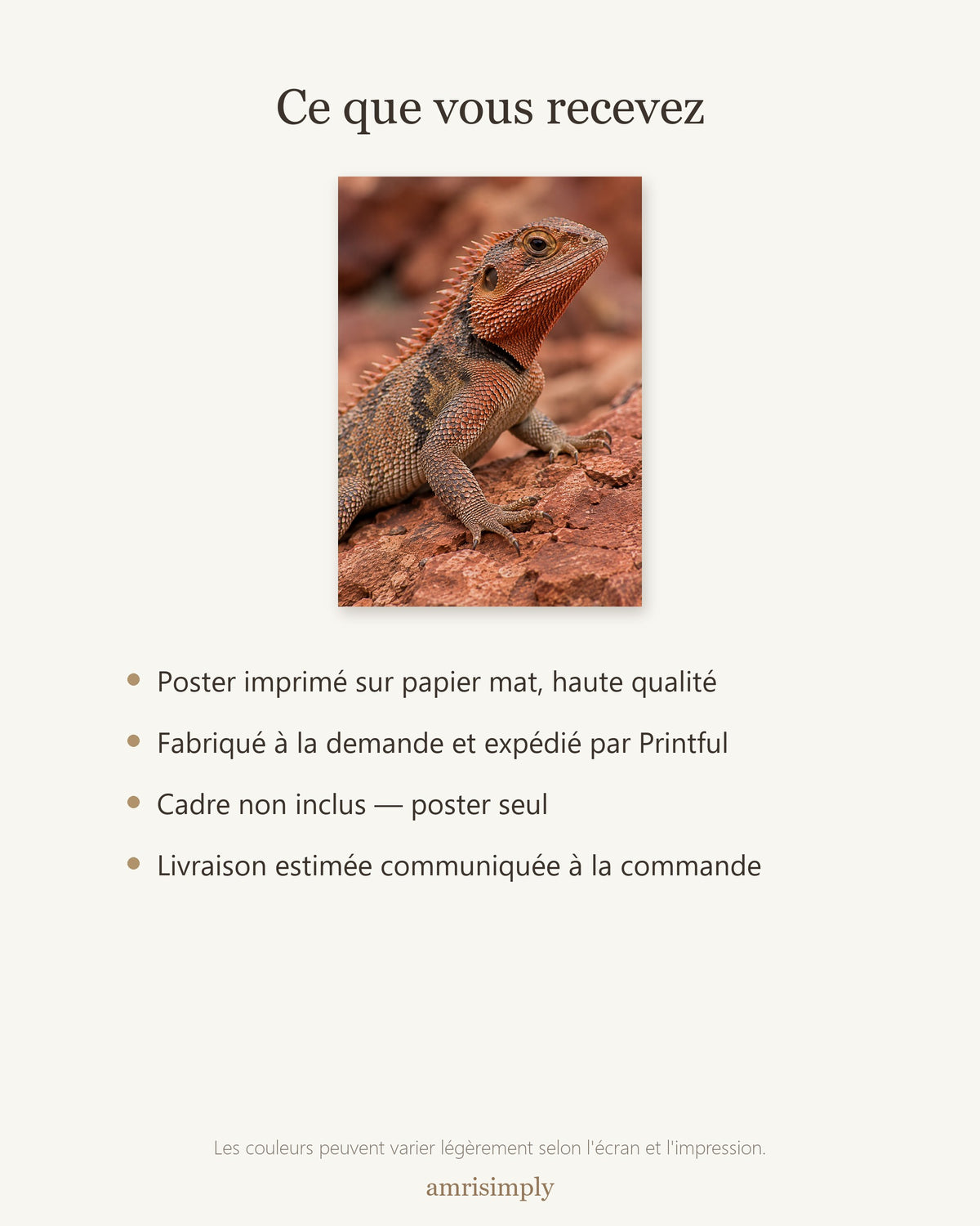 Poster Agame sur roche rouge Sans Cadre - Affiche Animaux Sauvages - Papier Mat - Décoration Murale