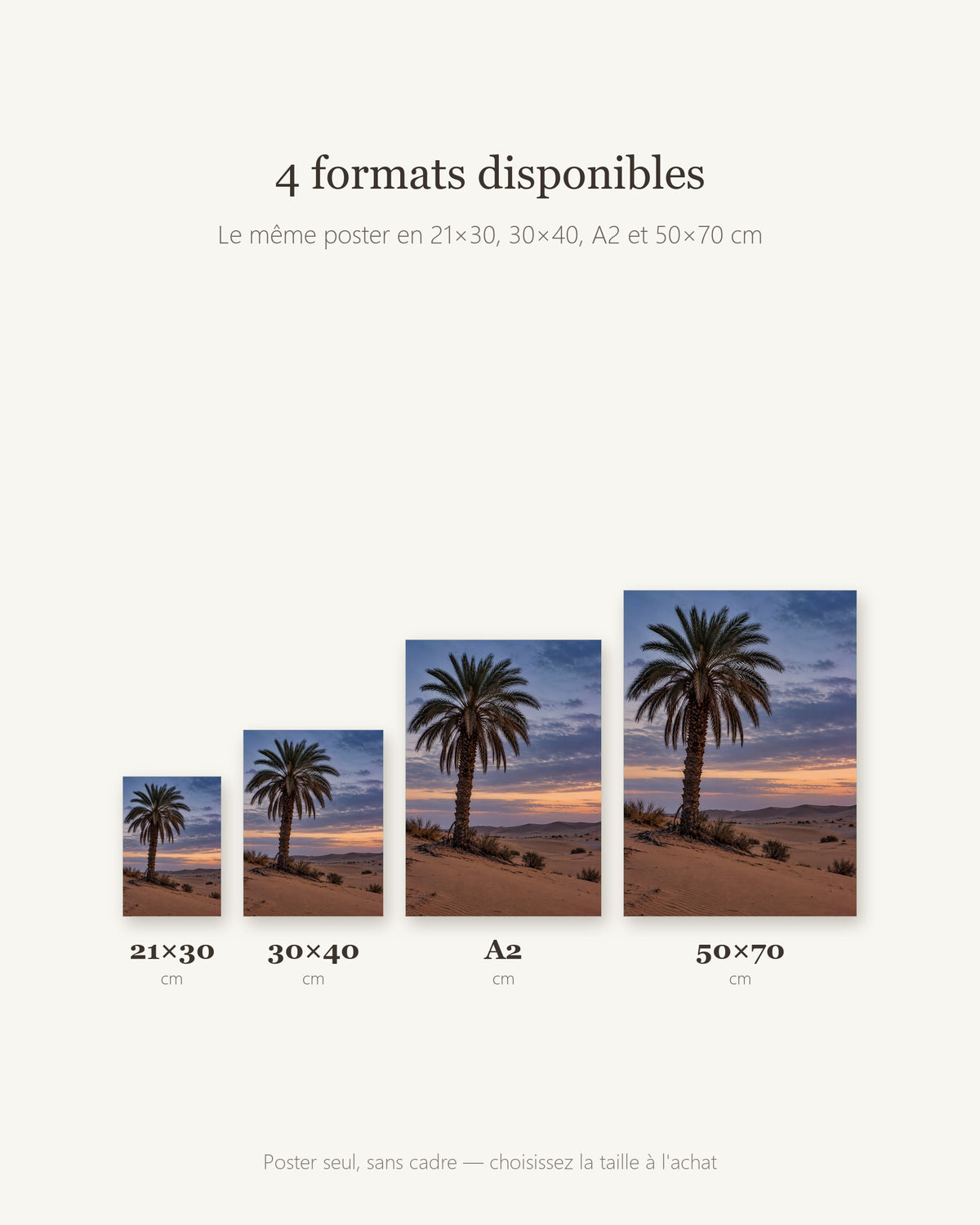 Poster Palmier dattier sur dune Sans Cadre - Affiche Nature - Papier Mat - Décoration Murale